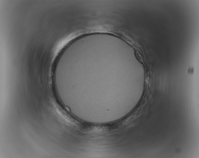 X0000114620248200911171104