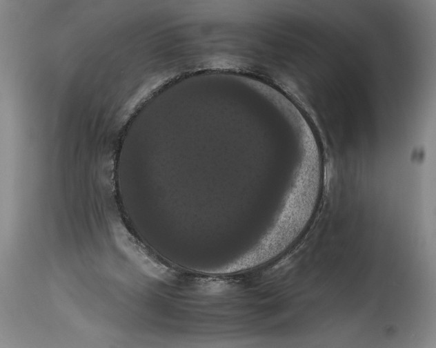 X0000114620249200911171104