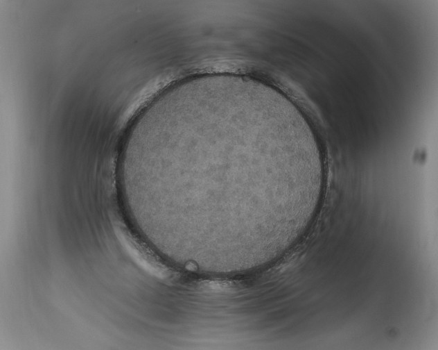 X0000114620250200911171104