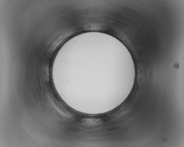 X0000114620251200911171104