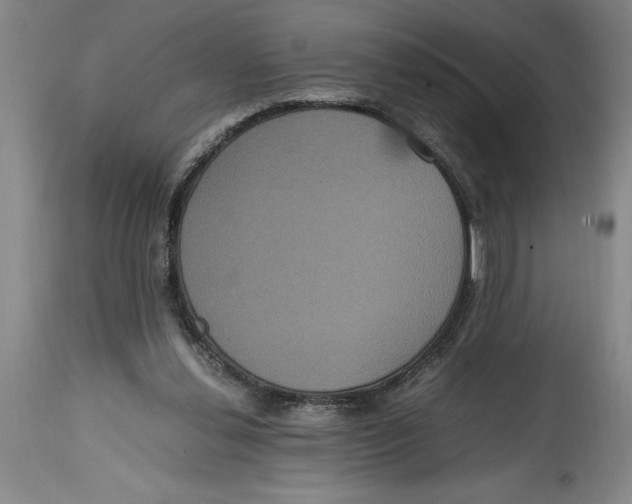 X0000114620252200911171104