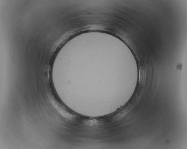 X0000114620253200911171104