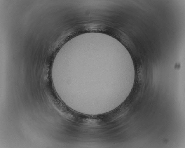 X0000114620255200911171104