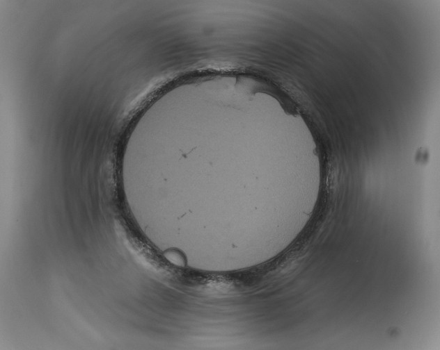 X0000114620256200911171104