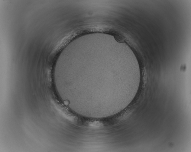 X0000114620258200911171104