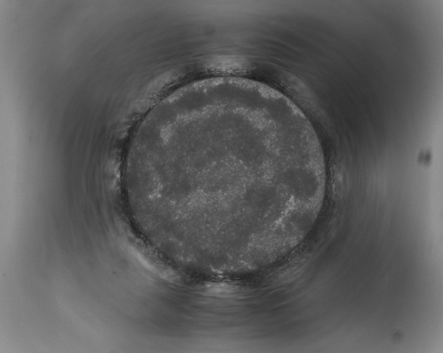 X0000114620259200911171104