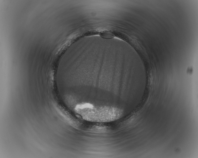 X0000114620260200911171104