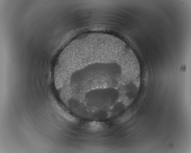 X0000114620261200911171104