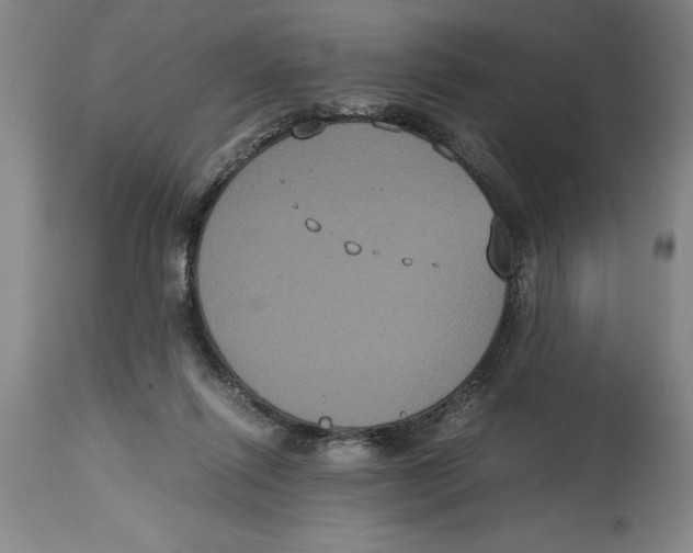 X0000114620262200911171104