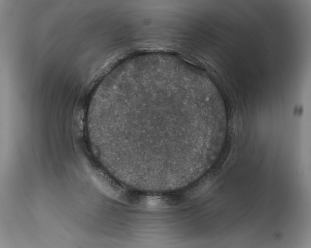 X0000114620264200911171104