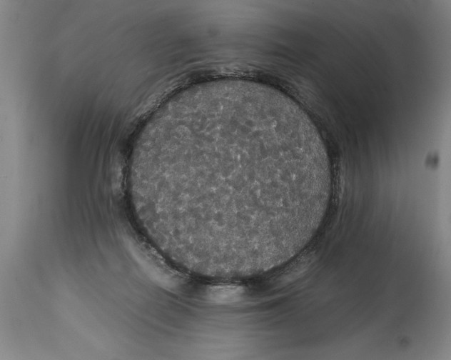 X0000114620266200911171104