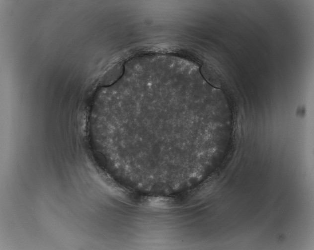 X0000114620268200911171104