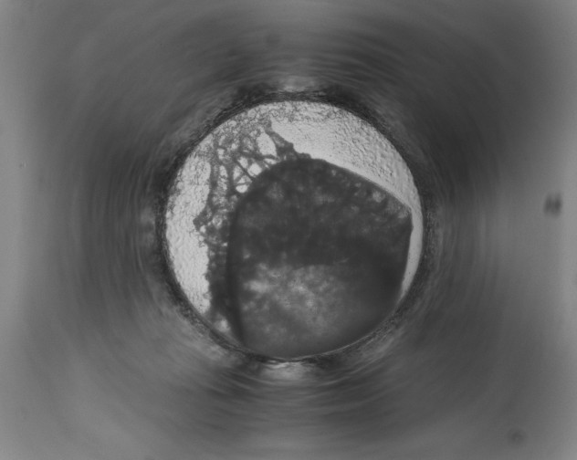 X0000114620269200911171104