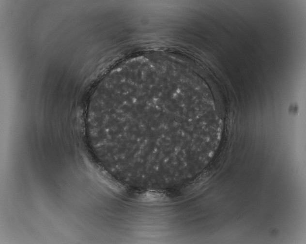 X0000114620270200911171104