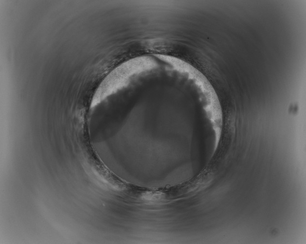 X0000114620271200911171104