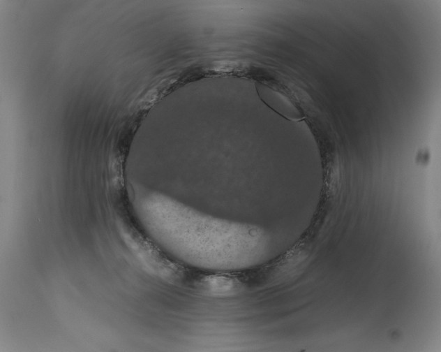 X0000114620272200911171104