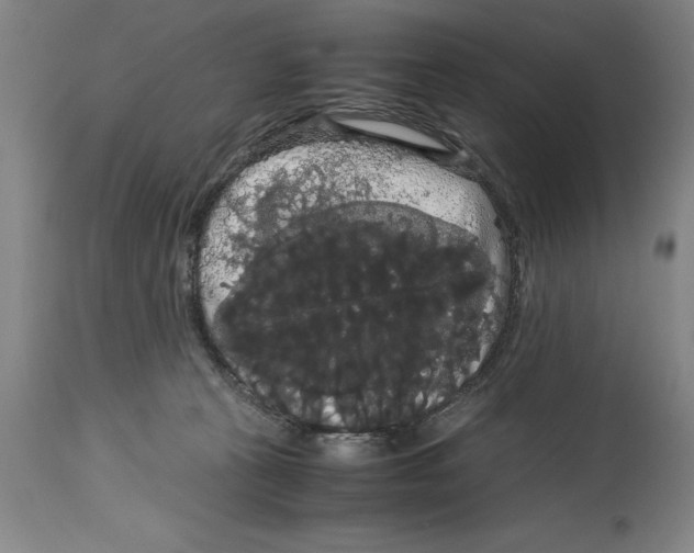 X0000114620273200911171104