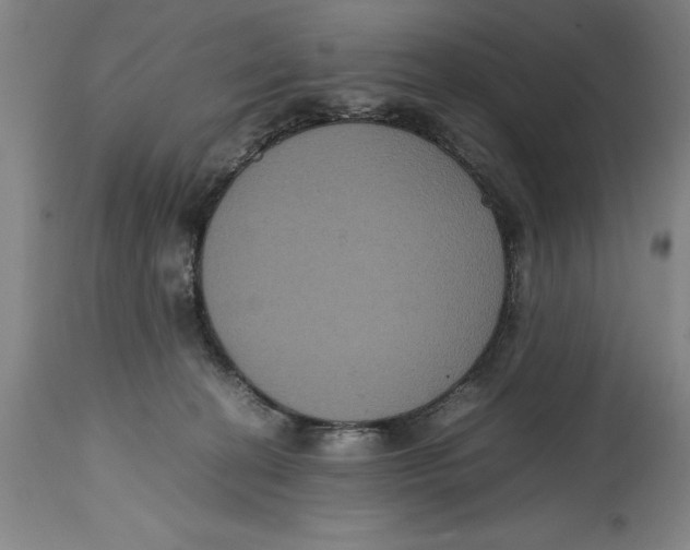 X0000114620274200911171104