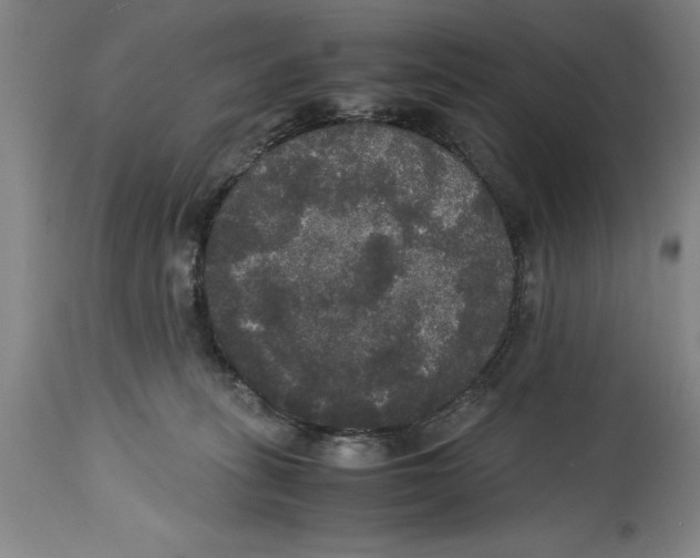 X0000114620275200911171104