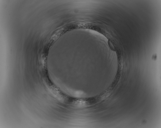 X0000114620276200911171104