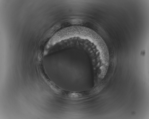 X0000114620277200911171104