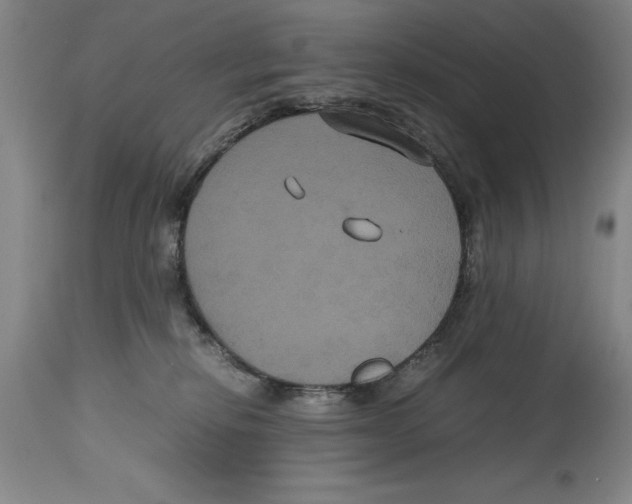 X0000114620278200911171104