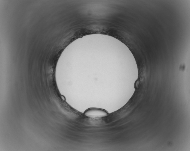 X0000114620279200911171104