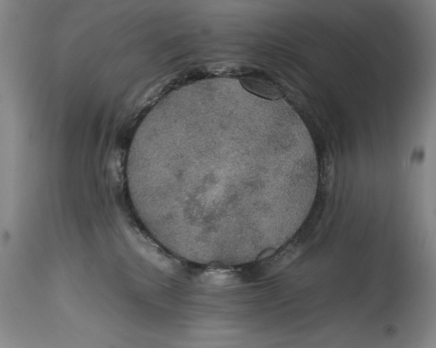 X0000114620280200911171104