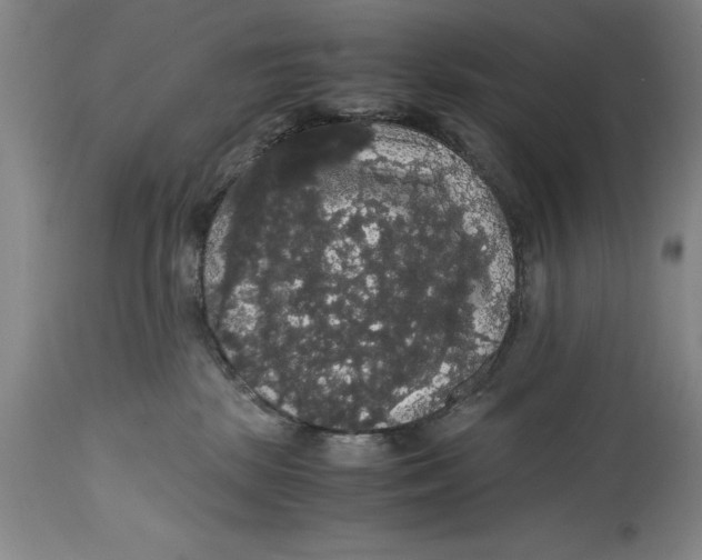 X0000114620281200911171104