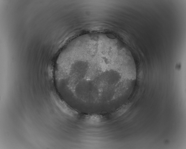 X0000114620282200911171104