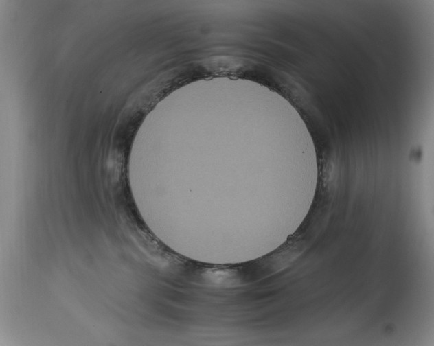 X0000114620283200911171104