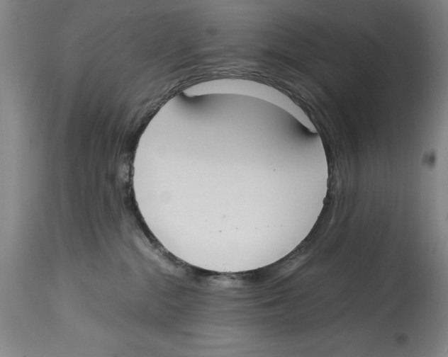 X0000114620284200911171104