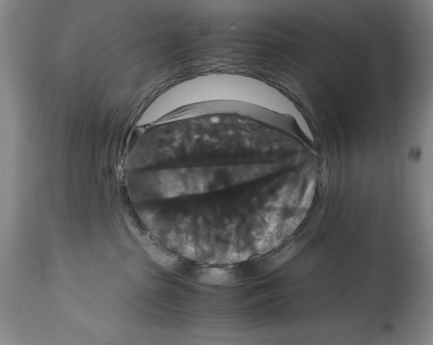 X0000114620285200911171104