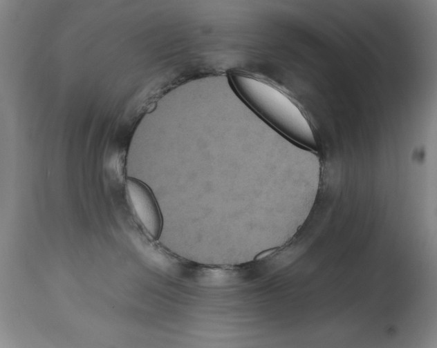 X0000114620286200911171104