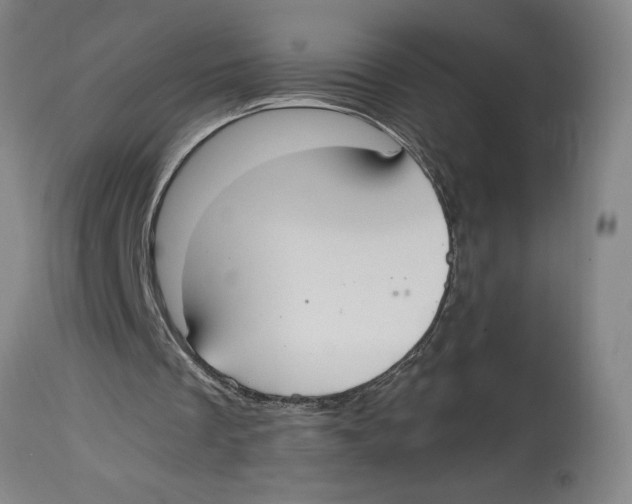 X0000114620289200911171104