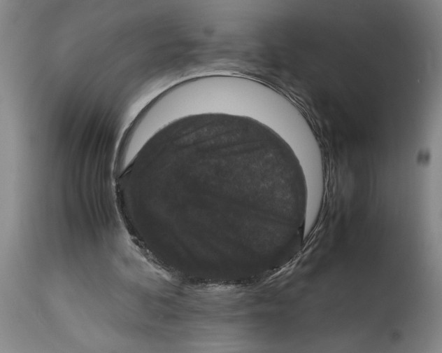 X0000114620292200911171104