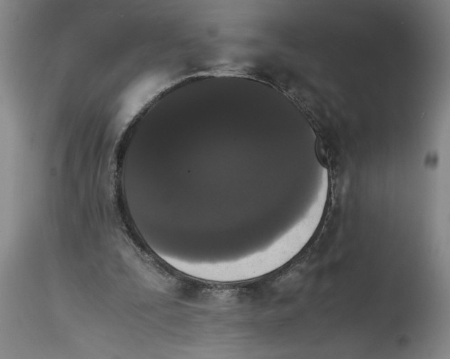 X0000114620295200911171104