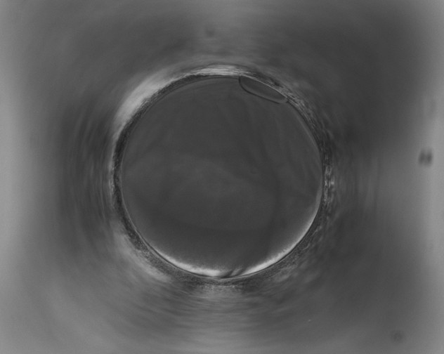 X0000114620296200911171104