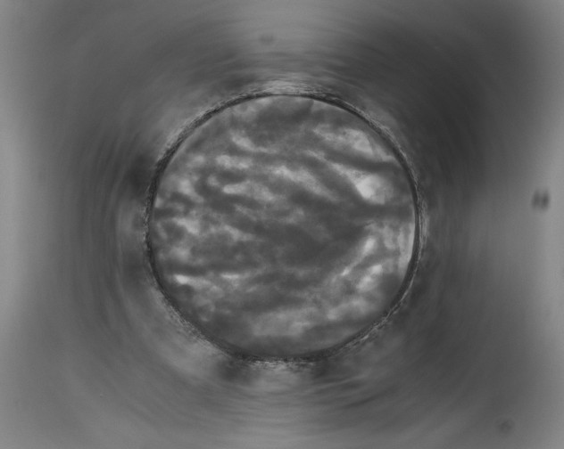 X0000114620297200911171104