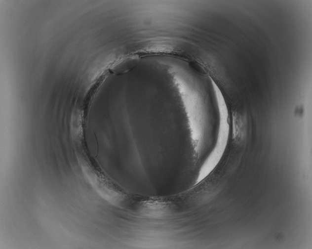 X0000114620300200911171103