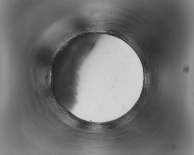 X0000114620301200911171103