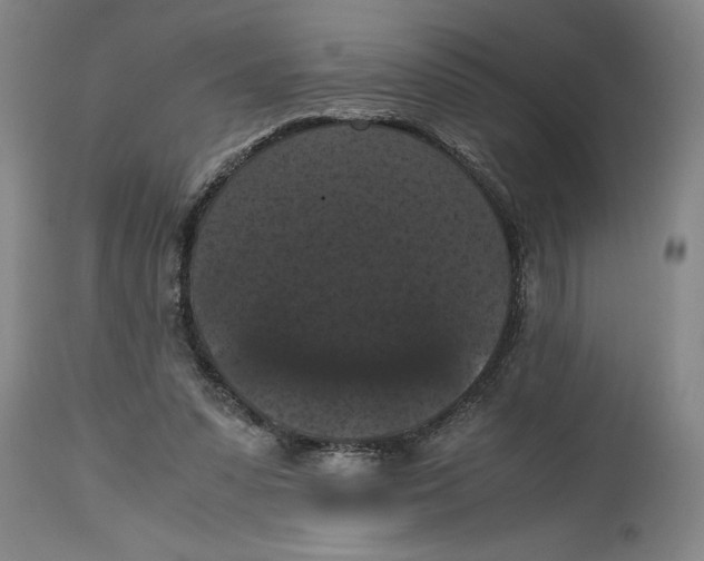 X0000114620303200911171103