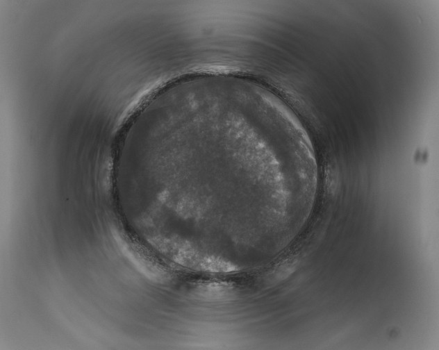 X0000114620304200911171103