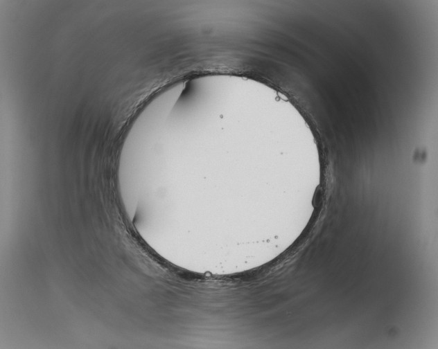 X0000114620305200911171103