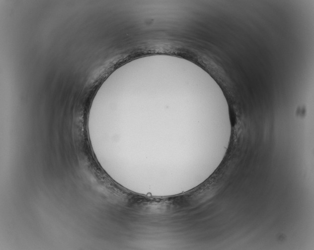 X0000114620306200911171103