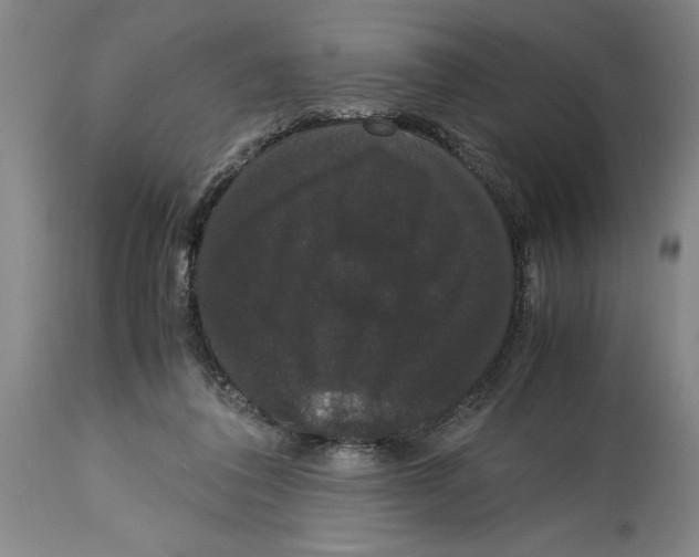 X0000114620308200911171103