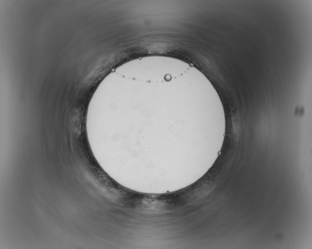 X0000114620311200911171103