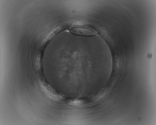 X0000114620312200911171103