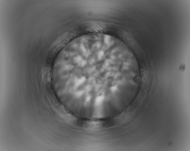 X0000114620313200911171103