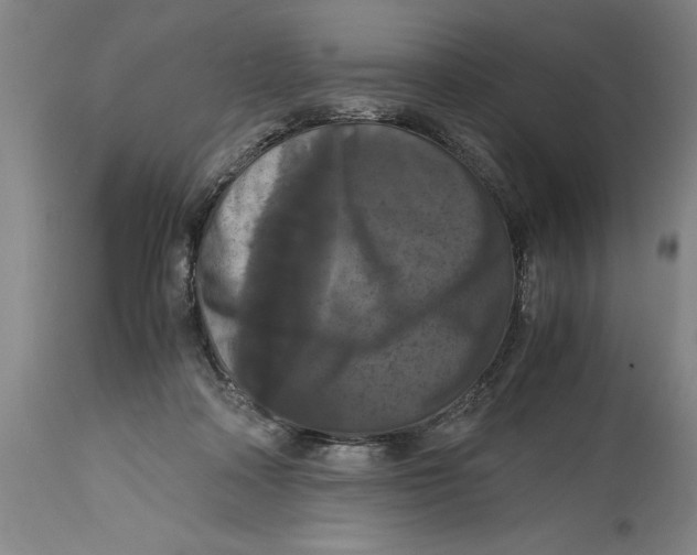 X0000114620314200911171103